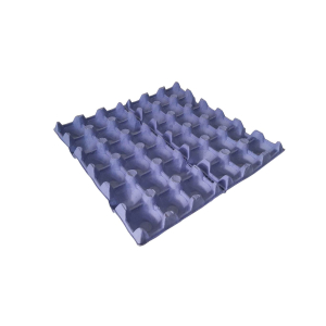 egg box - Dispak Ltd