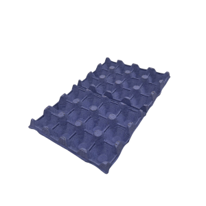 STOCK CDL FAMILY PACK 12 EGG BLUE